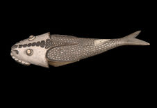 Sculpture zoomorphe (poisson)