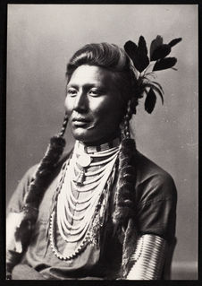Old Coyote, Crow Indian, 1883