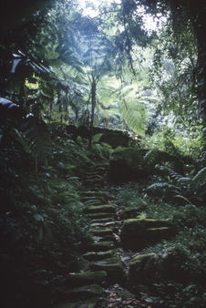 Chemin en escalier