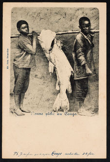 Bonne pêche au Congo