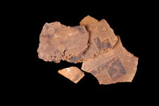 Fragments d'une calebasse décorée