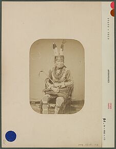 Type indien Pawnee Chowee