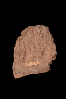 Céramique (fragment)