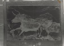 Taureau peint de la grotte de Lascaux.