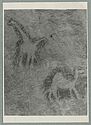 Chameau gravé près de la guelta [girafe et dromadaire gravés]