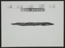 Toro Muerto