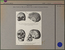 Crânes trouvés en 1909