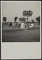 Marché aux arachides (pays haoussa), Maradi, Niger