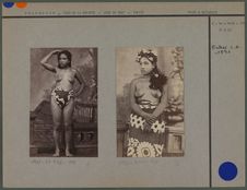 Types de tahitiennes