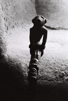 Détail de la canne exposée par le Musée du quai Branly figurant un serpent, un…