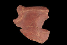 Céramique (fragment)