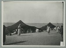 El-goléa. Campement de nomades Claambas