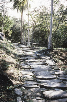 Chemin dallé restauré