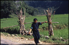 Femme portant le bois pour le foyer à la palanche
