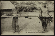 12 . Harpe et balafon bayas (Haute-Sanga)