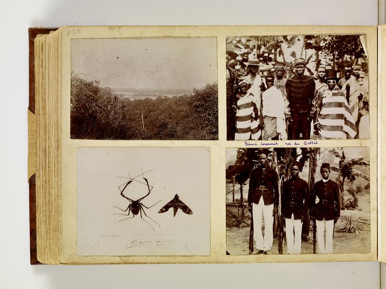 Bettié, 13 mars 1897 [une araignée et un papillon]