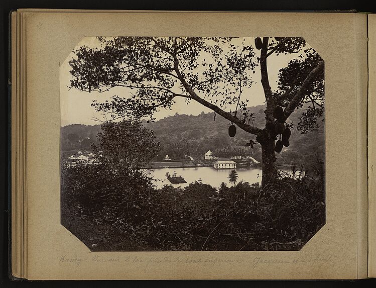 Kandy - Vue sur le lac près de la route inférieure. Jacquier et ses fruits.