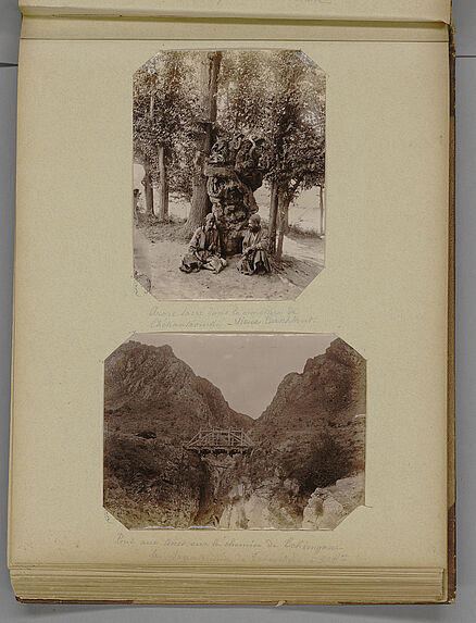 Arbre sacré dans le cimetière de Chékantaourki - Vieux Taschkent