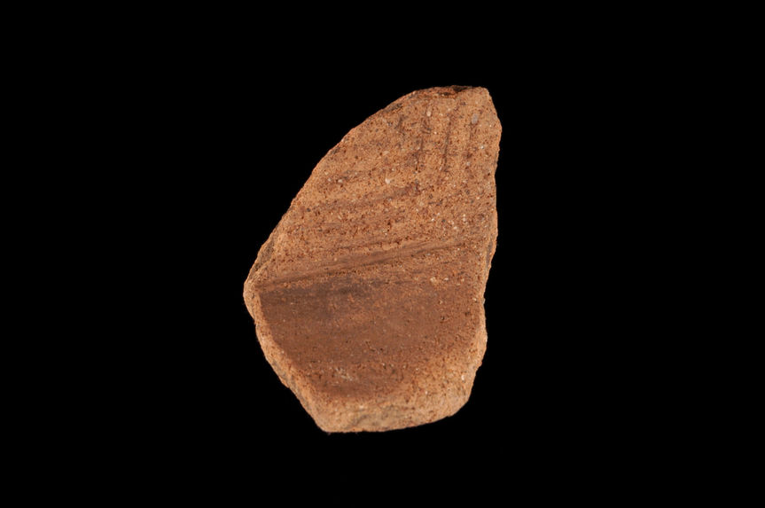 Coupe (fragment)