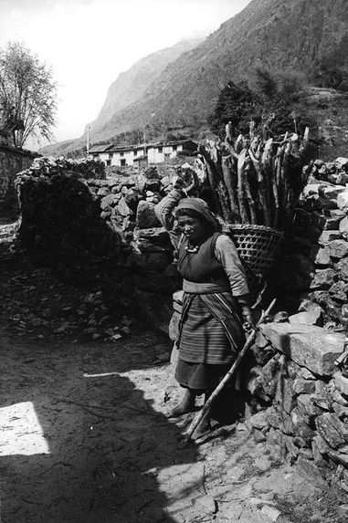 Femme sherpa transportant du bois de feu