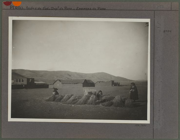 Indiennes vendant de la paille fraiche