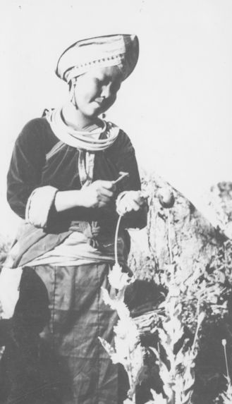 Femme Meo Khao soignant un pavot