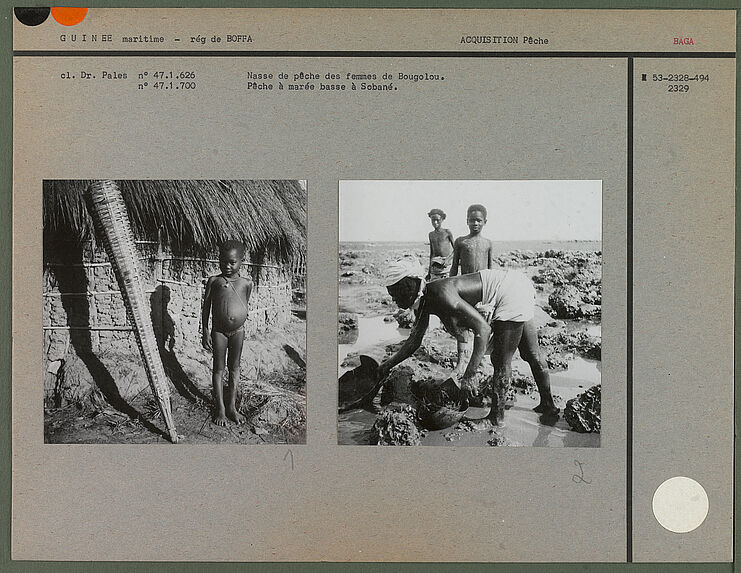 Nasse de pêche des femmes de Bougolou