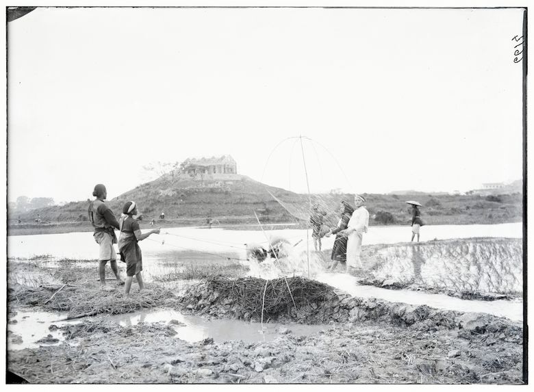 Annamites arrosant les rizières