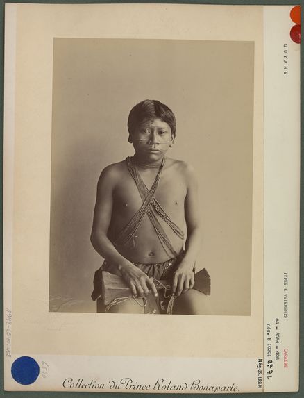 Homme Caraïbe [Portrait de Camara Dossou]