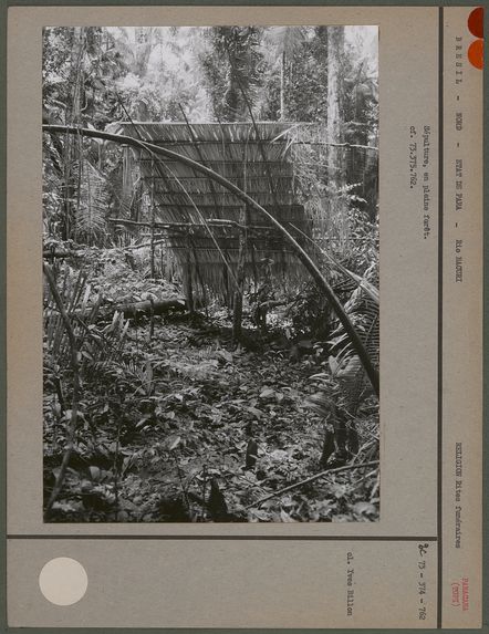 Sépulture en plein forêt