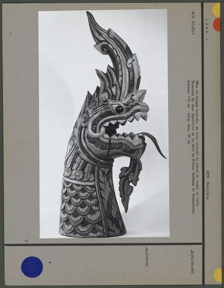 Tête de dragon dressée en bois sculpté