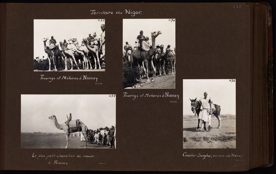 Touaregs et Méharas à Niamey