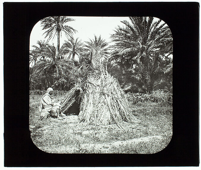 Biskra. Gourbi dans l'oasis