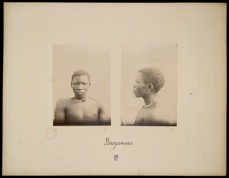 Exposition de 1889. Collection anthropologique du prince Roland Bonaparte. Bosjemans