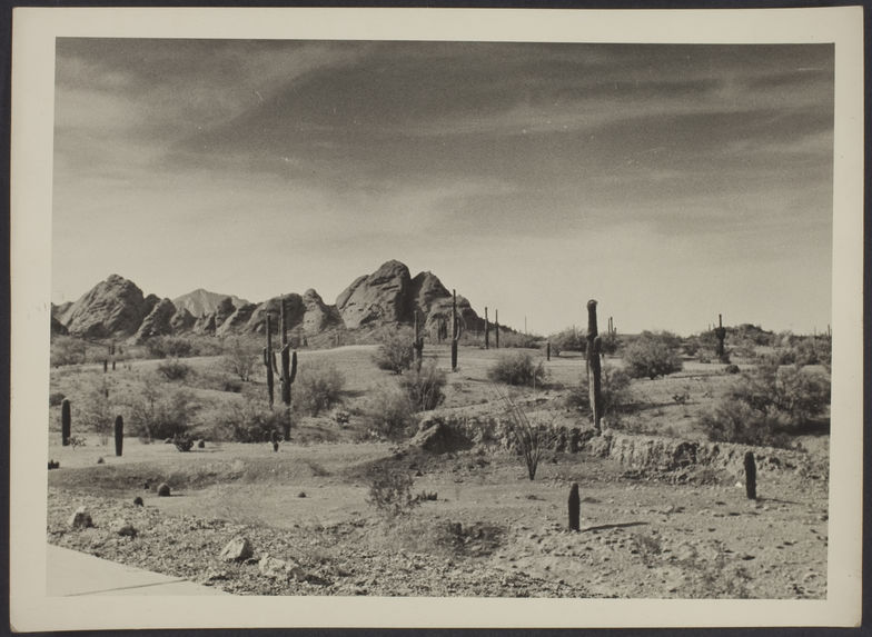 Le désert autour de Phoenix. A l'angle gauche, macadam de trottoir de la ville