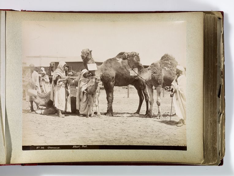 Sans titre [Album de photographies sur la Tunisie]