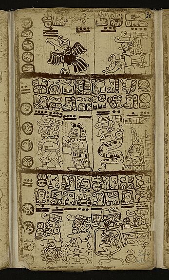 Codex Cortesianus. Fragment du codex Madrid