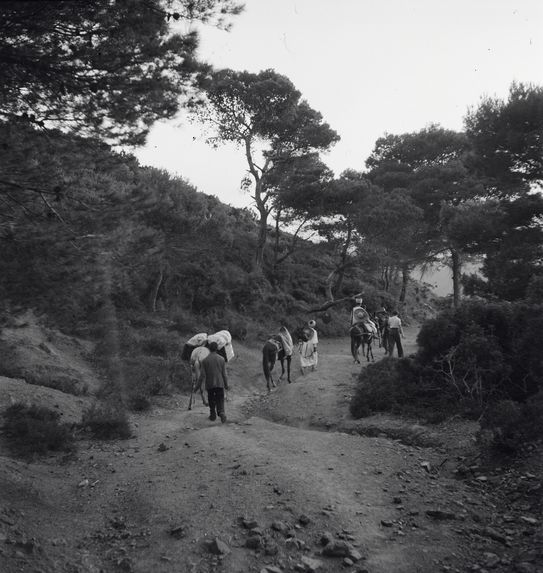 Sans titre [caravane sur un sentier de montagne]