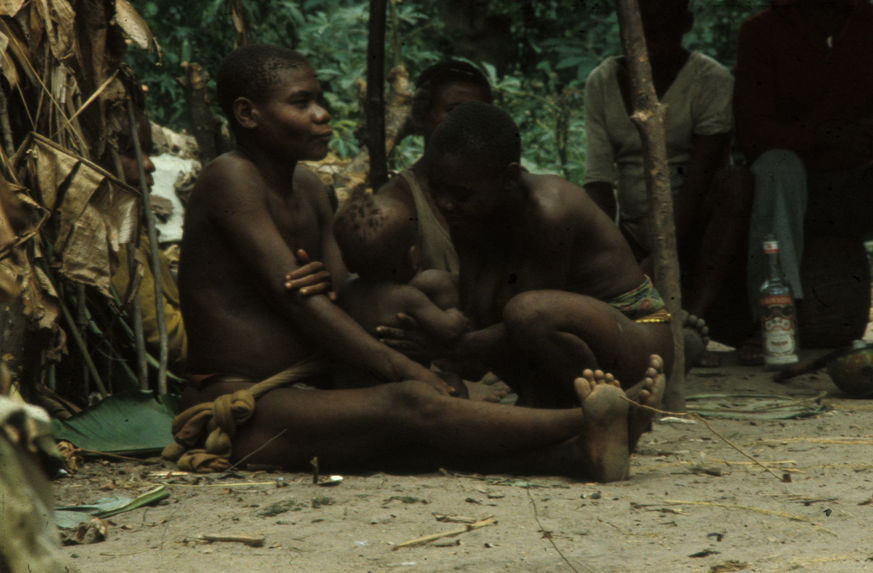 Pygmées Bambuti