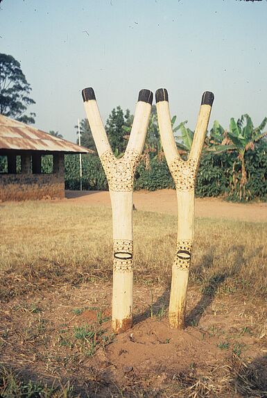 Bafut, deux bâtons en forme de &quot;Y&quot; décorés, plantés en terre