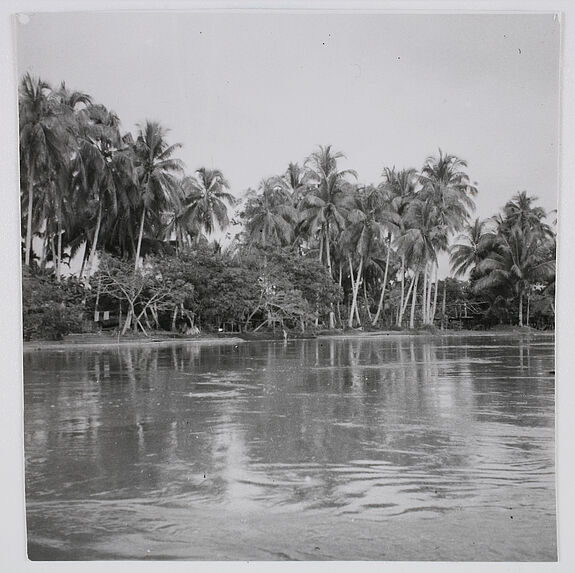 Le fleuve Sépik entre Malu et le lac Chamburi