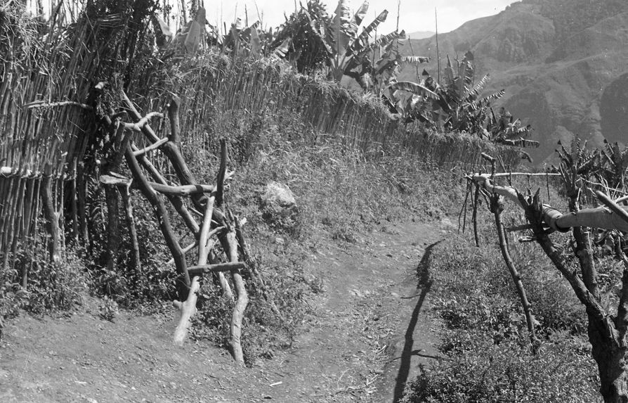 Buang Watut. Mission 1954-55. Bande film de 6 vues concernant des paysages