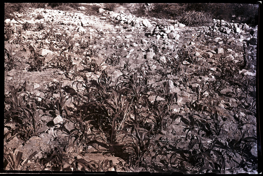 Bande-film de 6 vues concernant la vallée Pisco et la vallée de Lurin