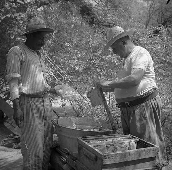 E. Wagner et ses ruchers à Mistol Paso