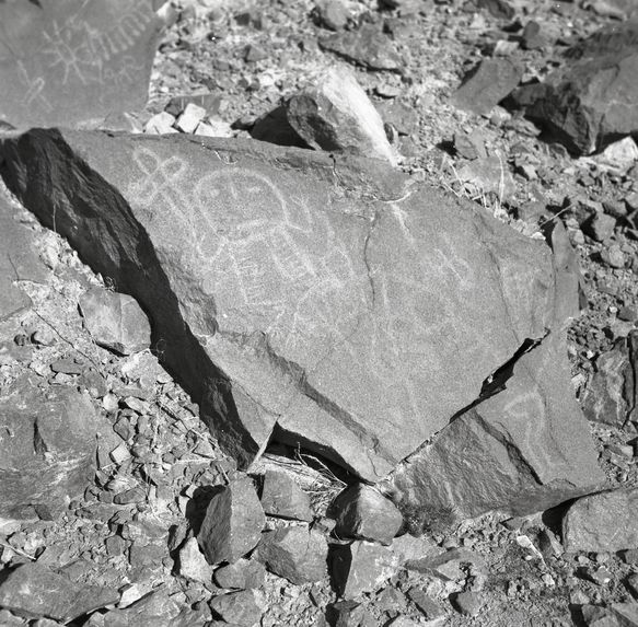 Pétroglyphes de Chekta, Rio Chillon (dépt. de Lima)