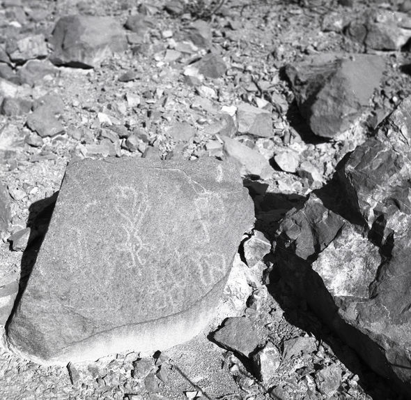 Pétroglyphes de Chekta, Rio Chillon (dépt. de Lima)