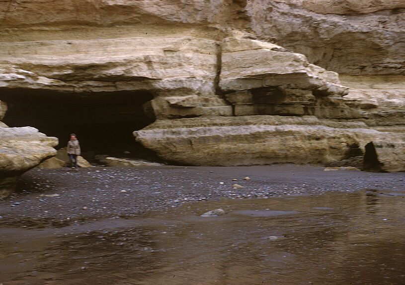 Terre de Feu. Grottes dans les falaises. Punta Catalina