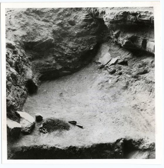 Grotte Fell : foyer vieux de 10 000 ans avec charbons, galets, os de guanaco contemporains du [?] et du cheval ind.
