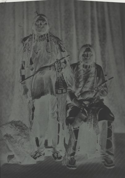 Type indien Cheyenne