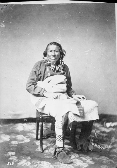 Type indien apache Yuma